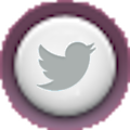 Twitter icon